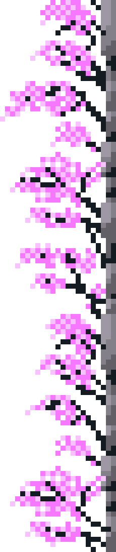 [0835f6] cherry blossoms right