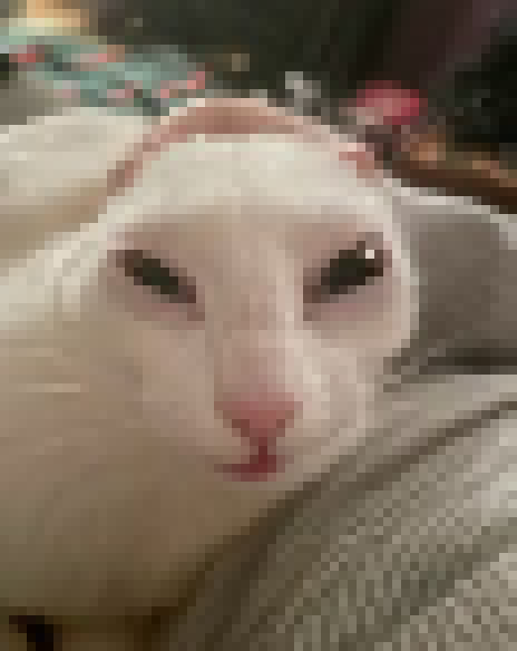 [98cc08] peak, i think, i cant really tell whats going o