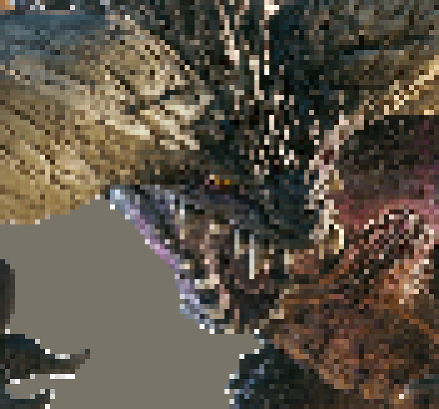 [e4c2a9] No matter how good I was with the great sword, this man was too fast. I was forced to switch to dual blades. And upgrade/grind for thunder element ones. Killed a whole generation of Tzitzi-Ya-Ku(s) for said blades. One the blades were made, bombs prepared, and boost potions made. And after multiple attempts ofc (10 in total quest wise with 3 faints each) I finally slayed the Eater of Elders.