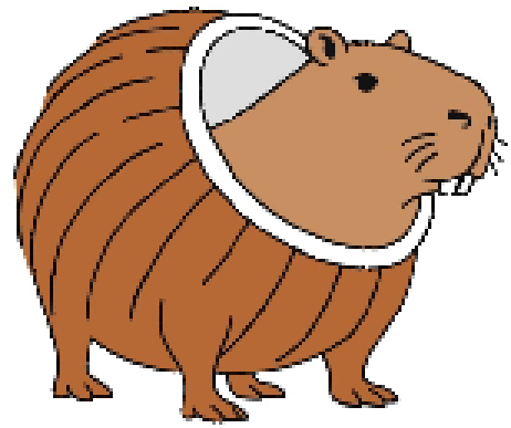 [679b28] Capybara