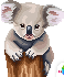 [e7d875] Koala_Chau_8