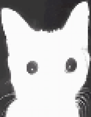 [9ce148] (*me watching PAM turn into a 404 Error page)