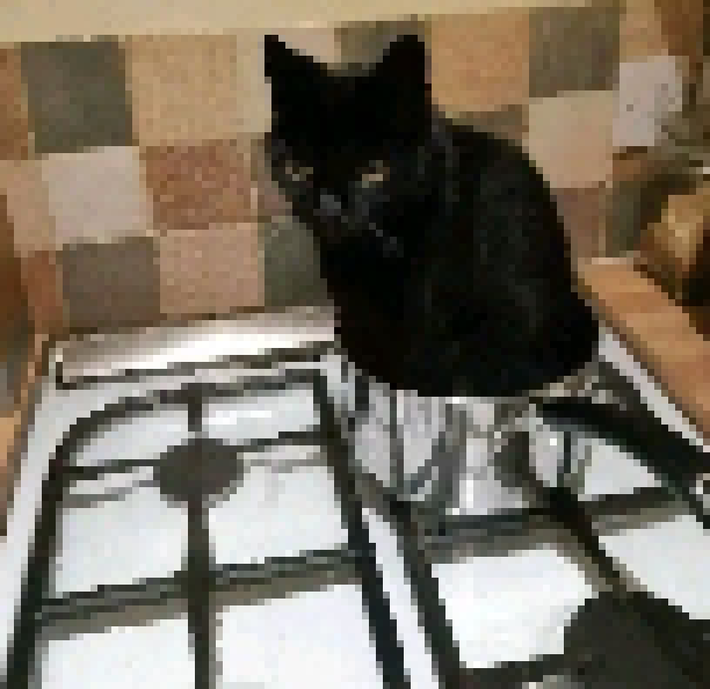 [ccce07] WHERE IS JIMMY RAUUHHH