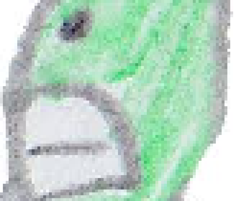 [2f919a] lucid leafster or sm I havn't been on a lot recently