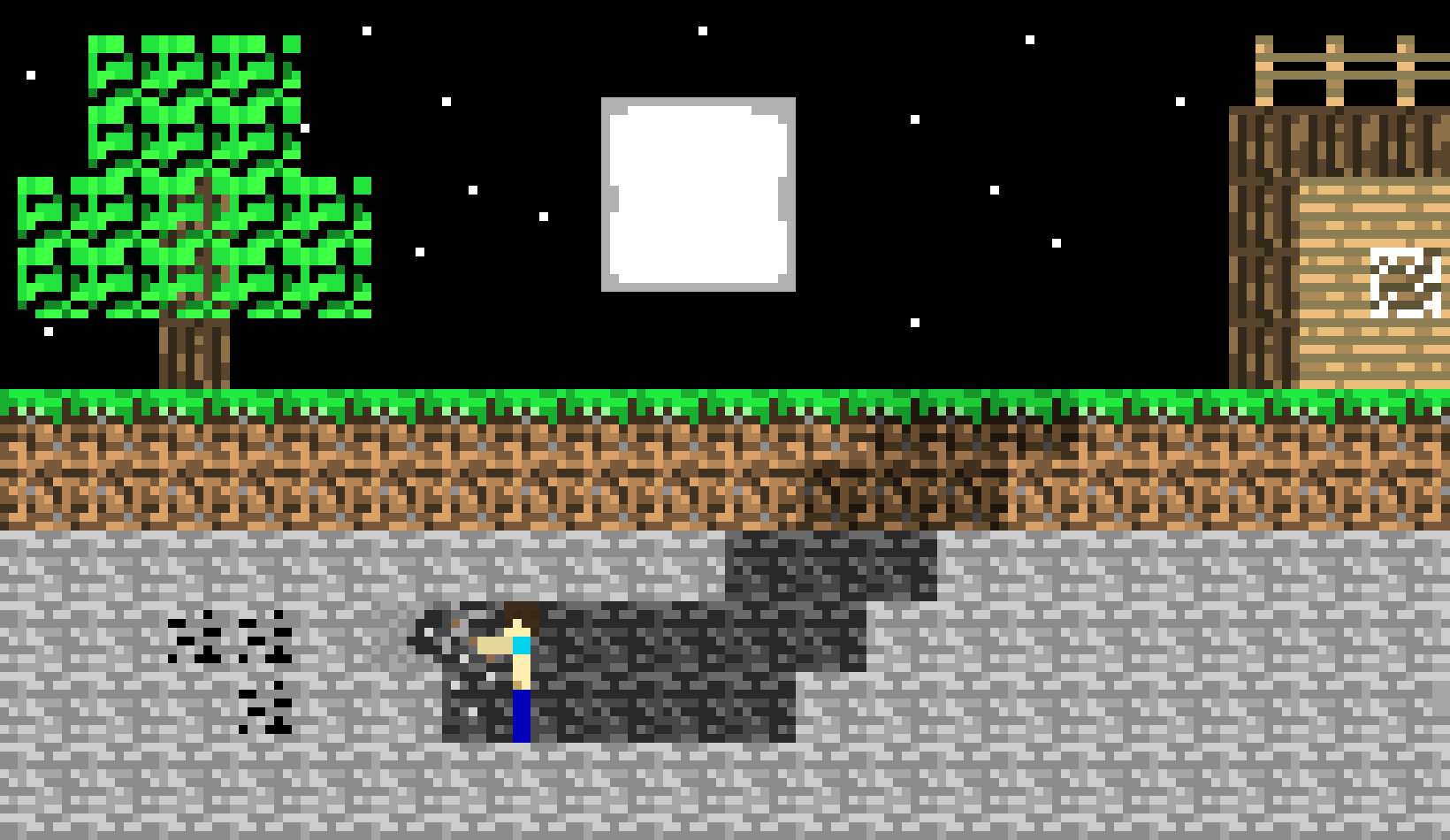 Minecraft Scene at night