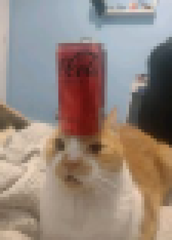 [d4cbe3] fuck my stupid chud life