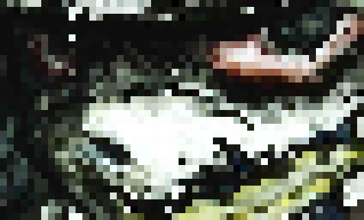 [4b4868] yay]]. . . . . . . . . . ... -[[Landa.collins]]-.......[-Hollett]