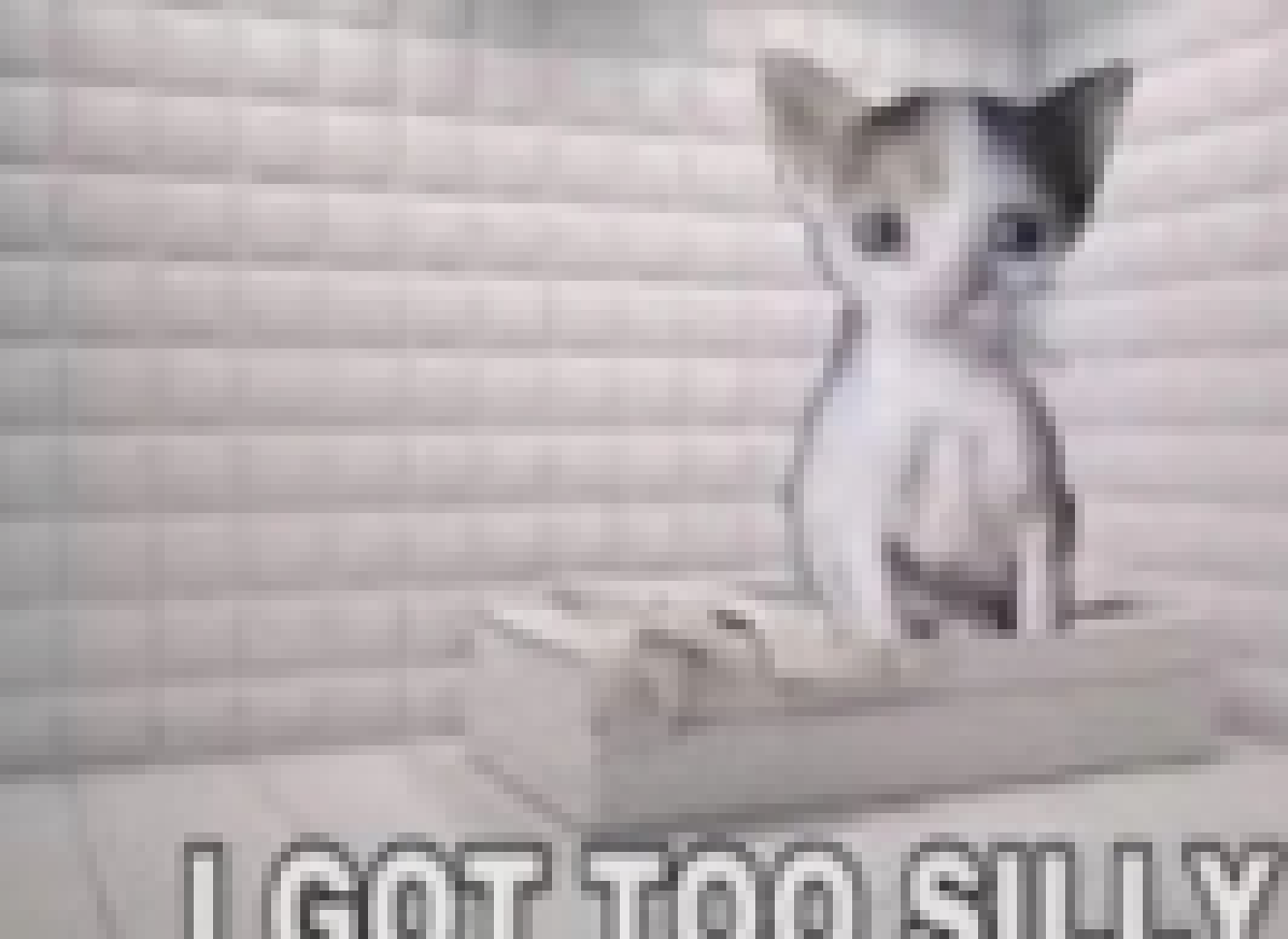 I may opr may not have just gone a bit wack in imports... - Deadtale