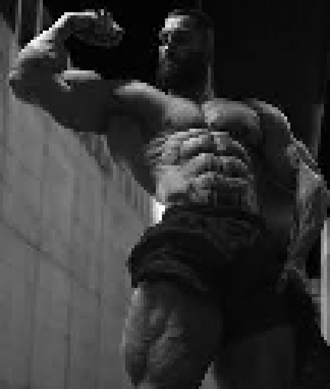 [224a35] *Chads all over that nuke until it chads*