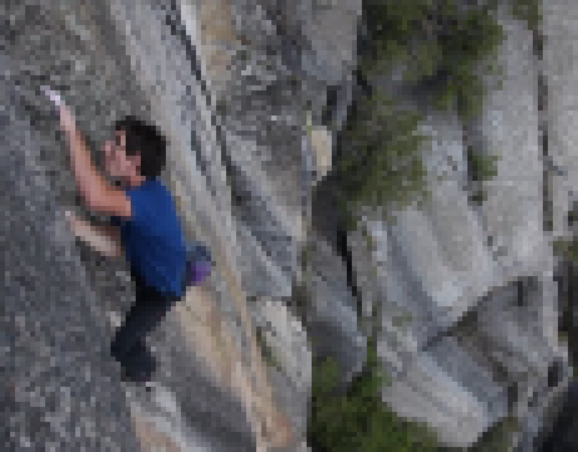 [2c71ed] my dumbass climbing terrie's back (i stand at 5'8)