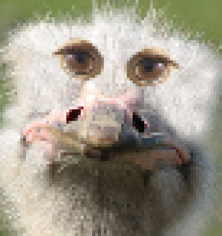 [db2e26] grow a beak now bmo