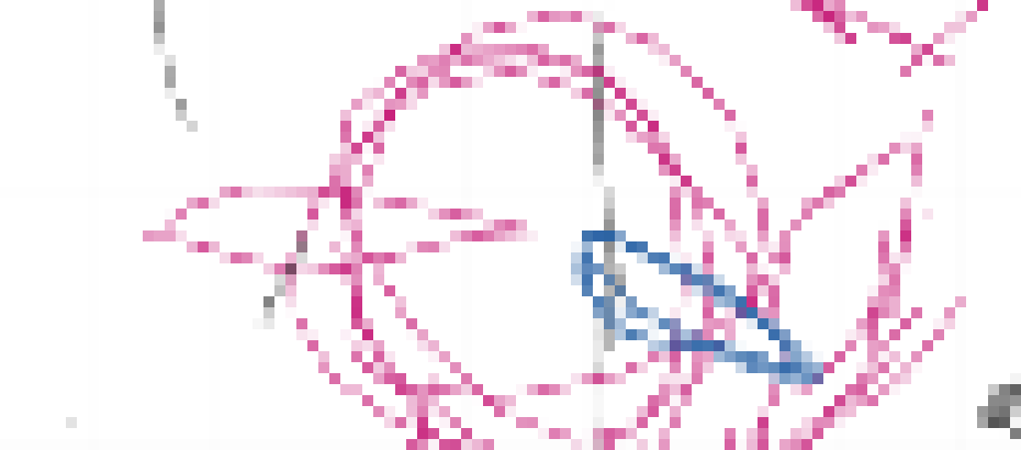 Your focus on racism made you blind, i said hes having yours guys dick, not his, yall really dumb. 