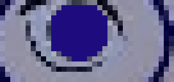 [d813e8] Julia pupil