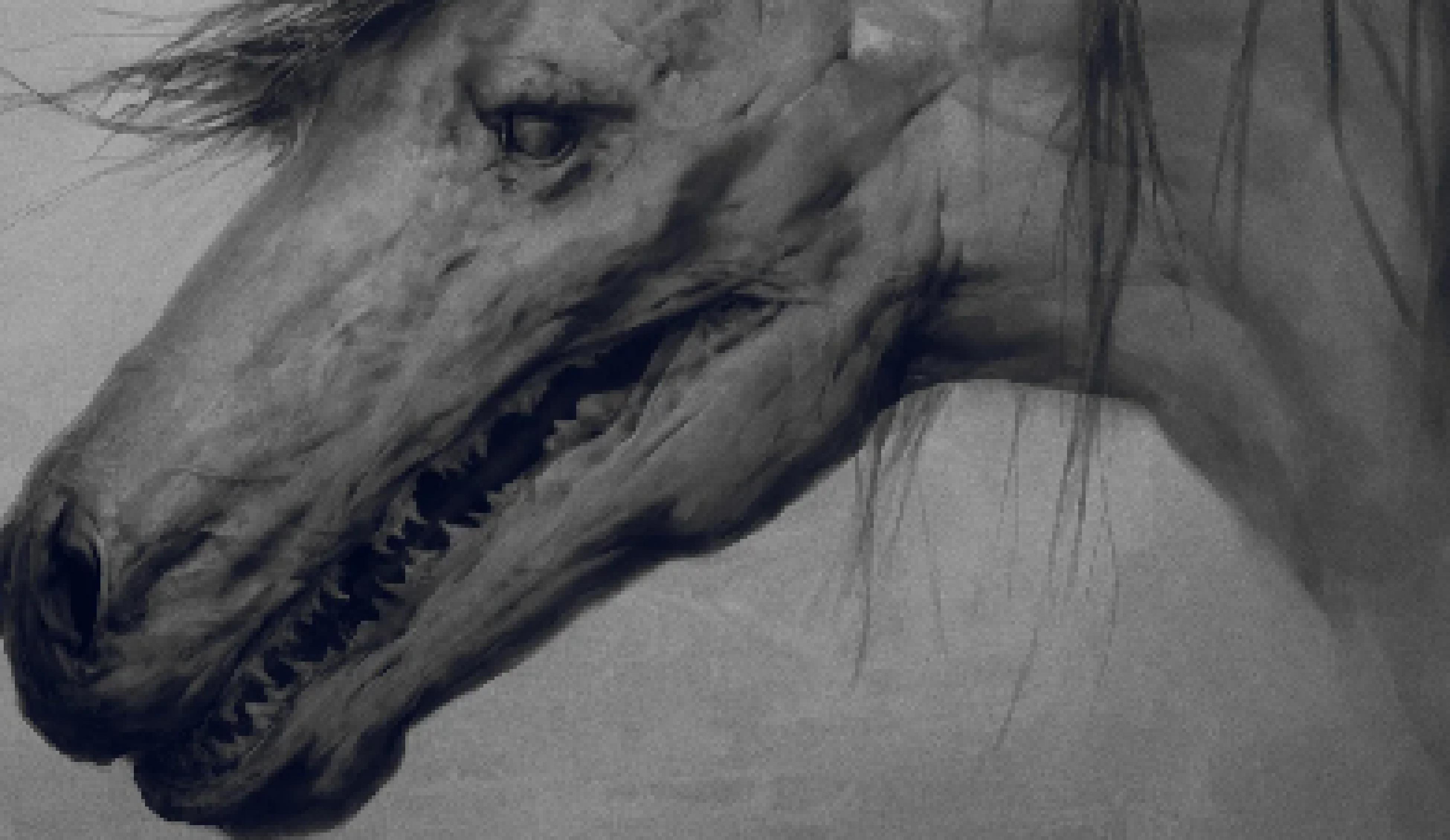 [37418f] What did I just see.