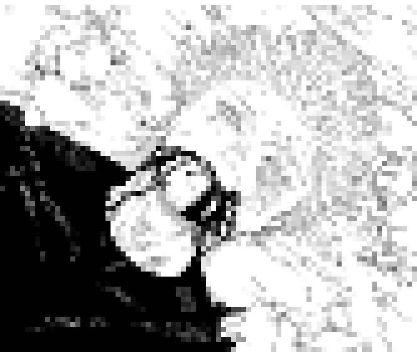 [006d2b] Five. Hundred. HANG THAT NIGGA NOOOWW reaction videos.