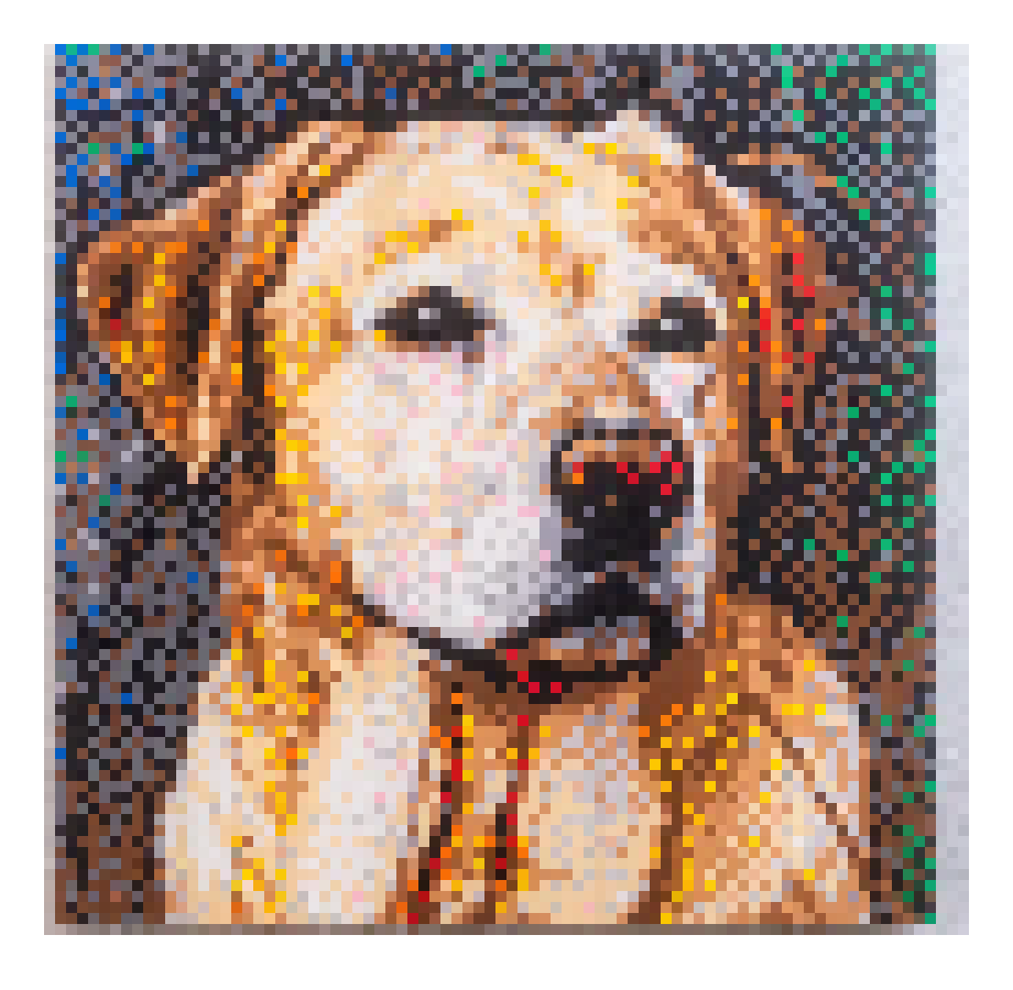 [016387] Labrador