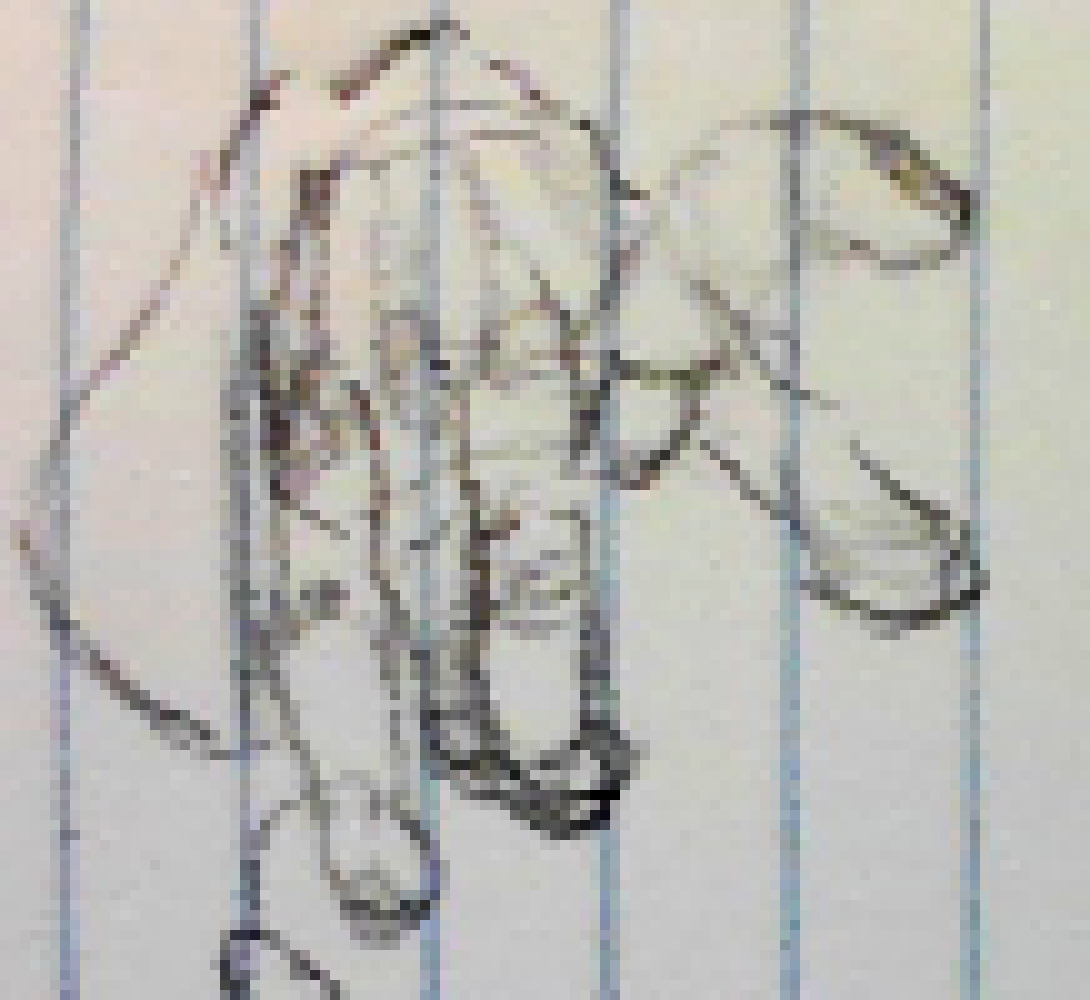 [7d85eb] We need to GOON, Mark