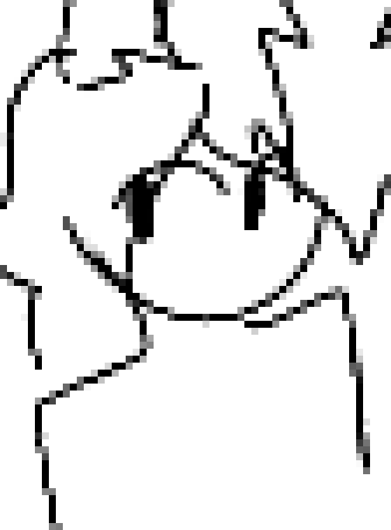 [13cbbd] -Noah turns to the sound of the shuffling-