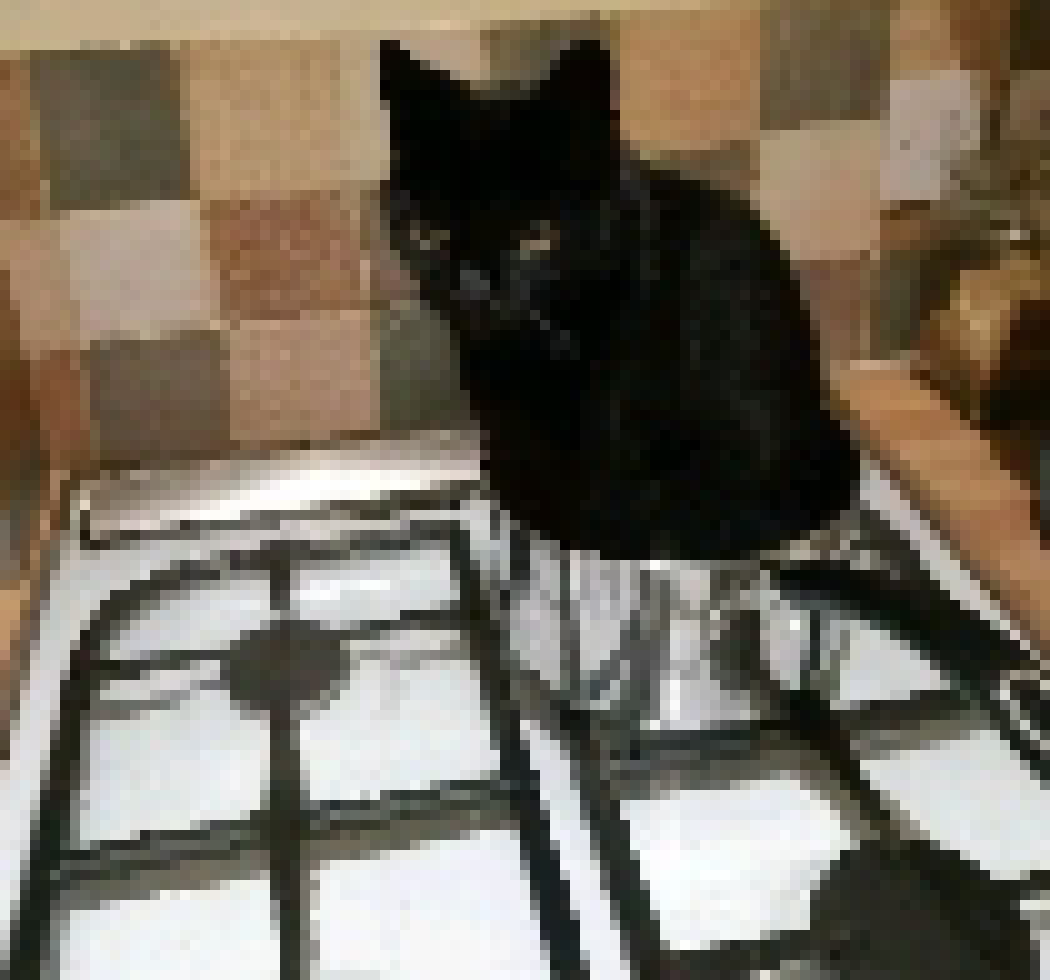 [319b35] nukes nekros