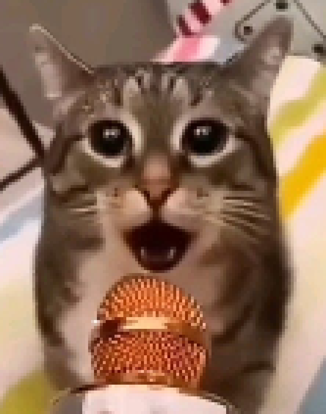 [319b35] 𝑨𝑼𝑼𝑼𝑮𝑯𝑯𝑯𝑯𝑮𝑯𝑯𝑮𝑮𝑯𝑮𝑯𝑯𝑯𝑯!!!!!!!!!!!!!!!!!!!!!!!!!!