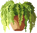 [e7d875] pixel_collection_greenplants_5