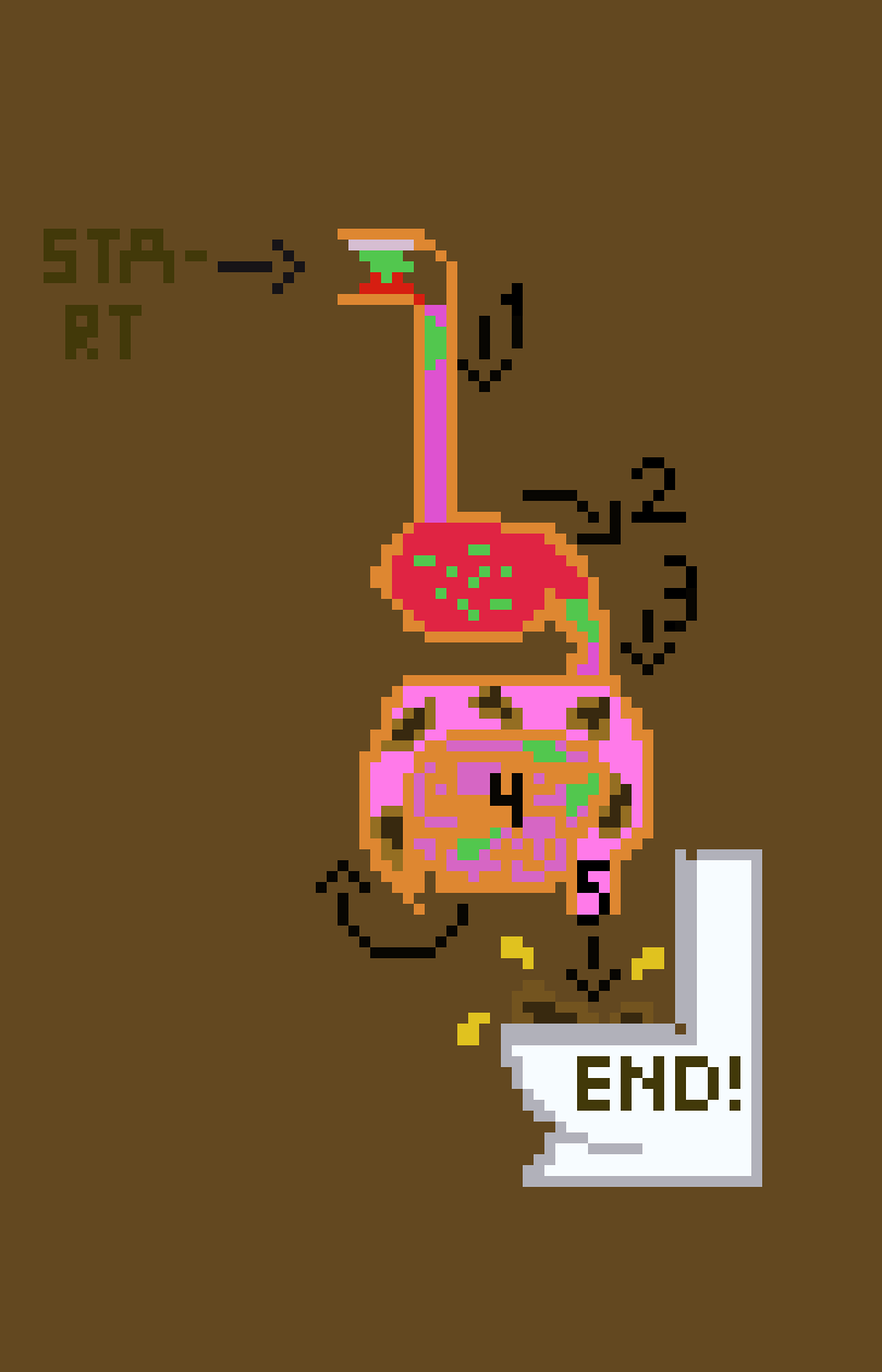 [701b30]  Anatomy: human digestive system