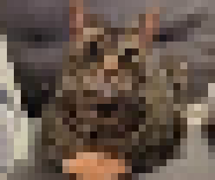 [98cc08] but he ate the stairs right as i tried to walk over