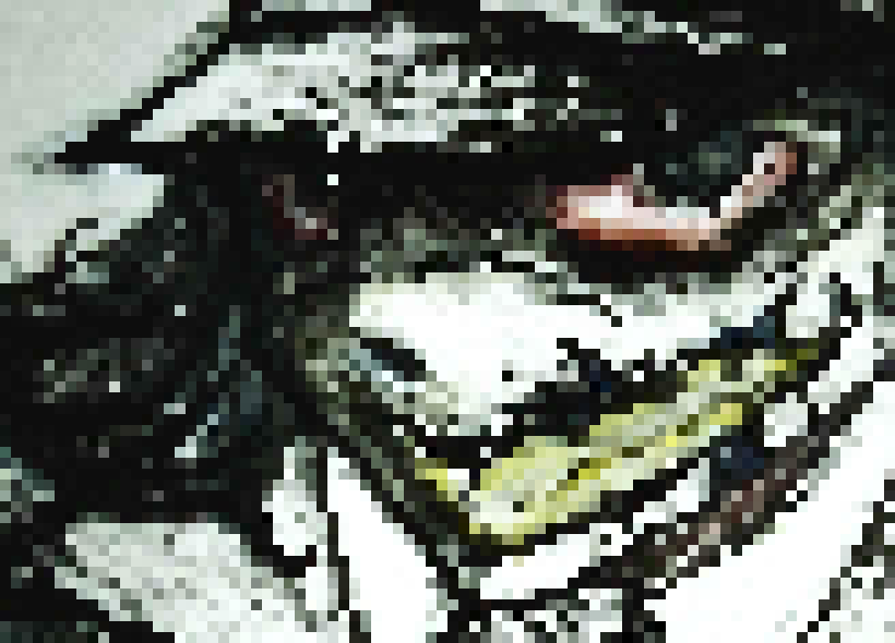 [4b4868] howdy]]. . . . . . . . . . ... -[[Landa.collins]]-.......[-Hollett]