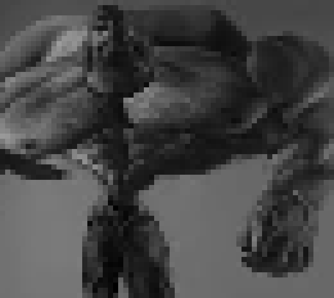 [224a35] "Chad time" *chads*