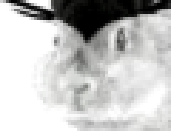 [f5254f] Dude I've been sneezing and sniffling all day is this a sign