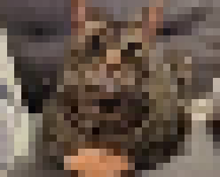 [98cc08] (i dont mind)