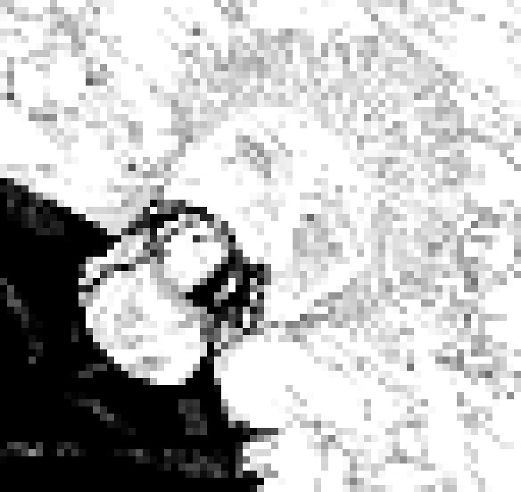 [7c9a4e] someone get this nigga off the stage bro.