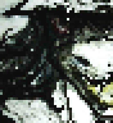 [4b4868]  count my fatass in ]]. . . . . . . . . . ... -[[Landa.collins]]-.......[-Hollett]