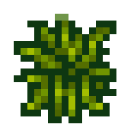 [87141f] garlic seeds