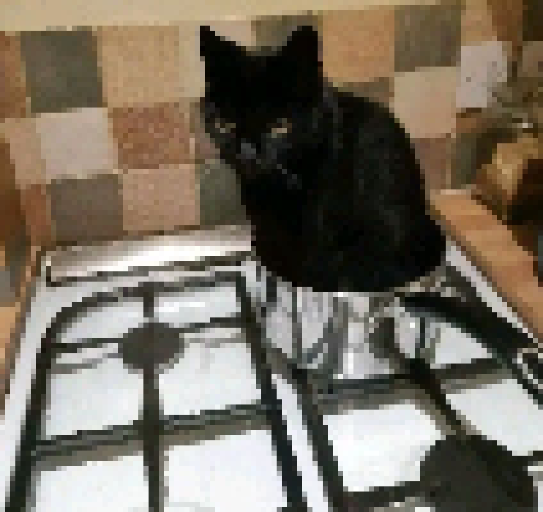 [319b35] john boiling in a pot of shit