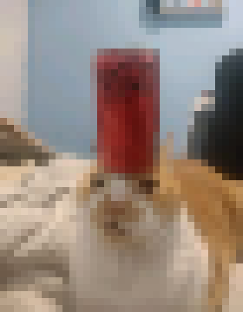 [319b35] im going to sleep