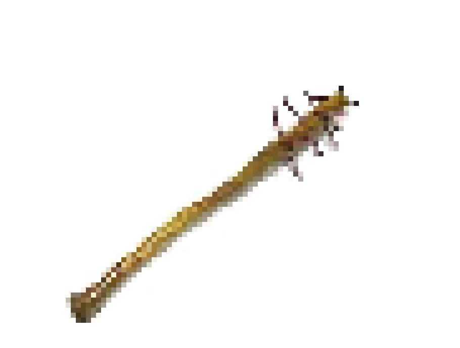 [71db5a] Steven Bat 2