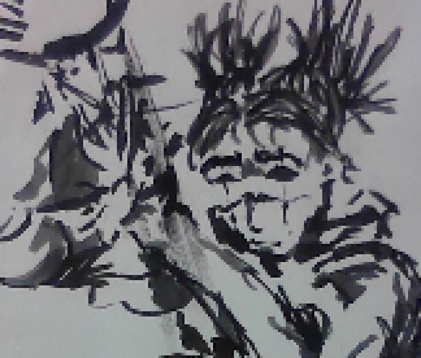 [c224f1] I will not create more I fucking hate working with sumi ink
