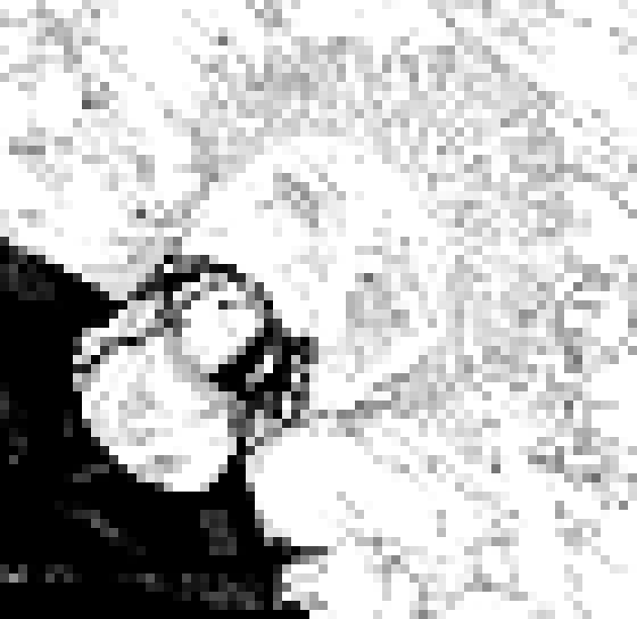 [006d2b] Looks at EV. Yeah I Dunno If You Ready For Allat Yet