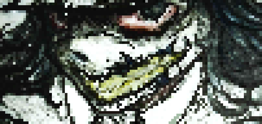 [4b4868] mmm I'm missing the shrimp pastaaaaaaaaa]]. . . . . . . . . . ... -[[Landa.collins]]-.......[-Hollett]