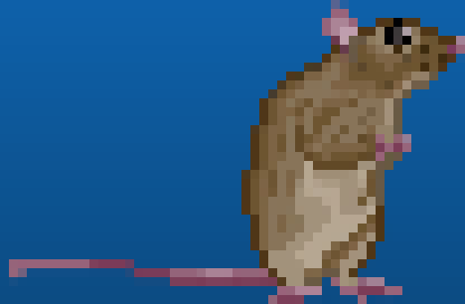 [a4a683] R                                 A                                 T