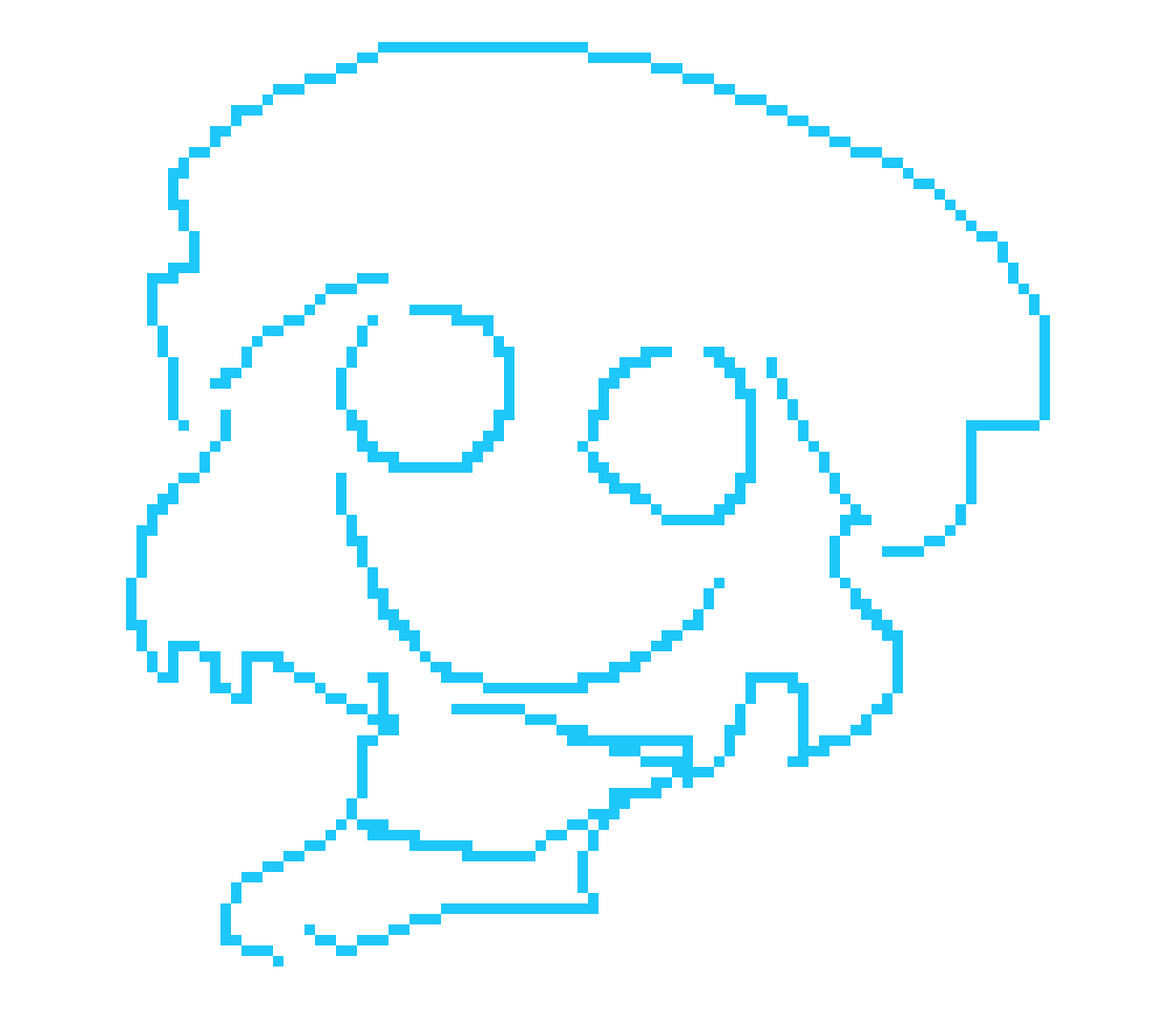 why dont we have pupils anymore?