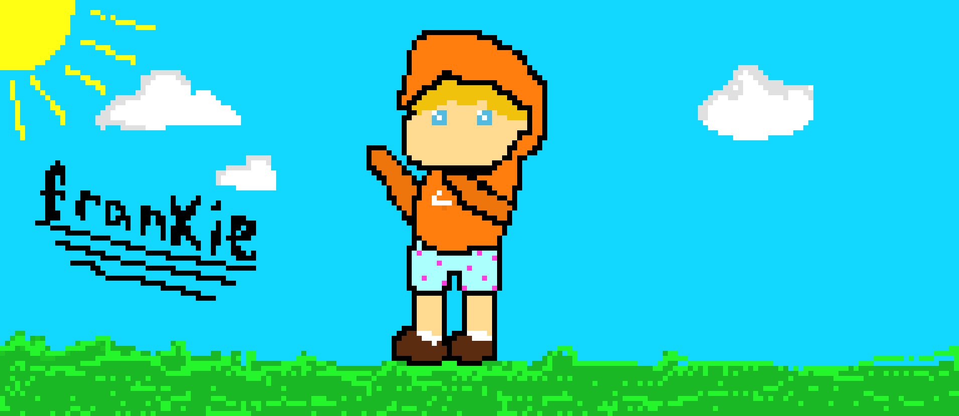 Pixel Frankie FINISH