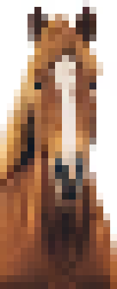 [816c09] Where is Jimmy- I have his room for him.