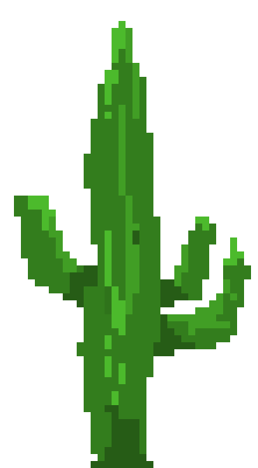[de3223] cactus_2