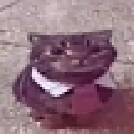 [319b35] dont gotta ask me twice!